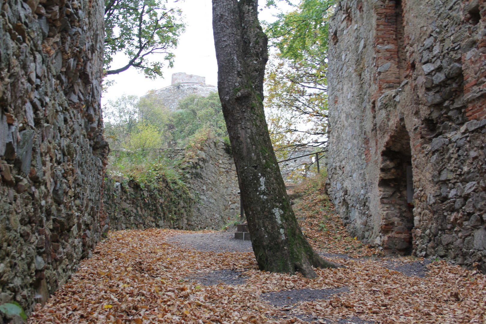 2018-10-21 Herbstausfahrt